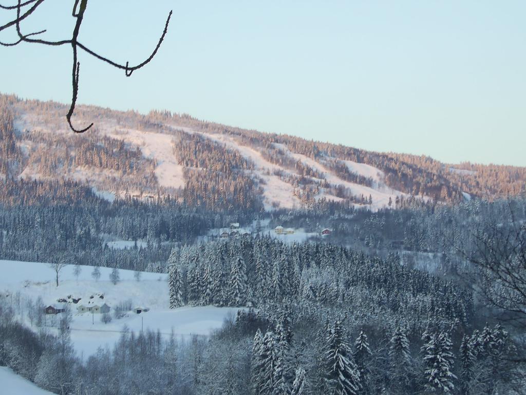 Sogn Gjestegard Svarstad  Habitación foto