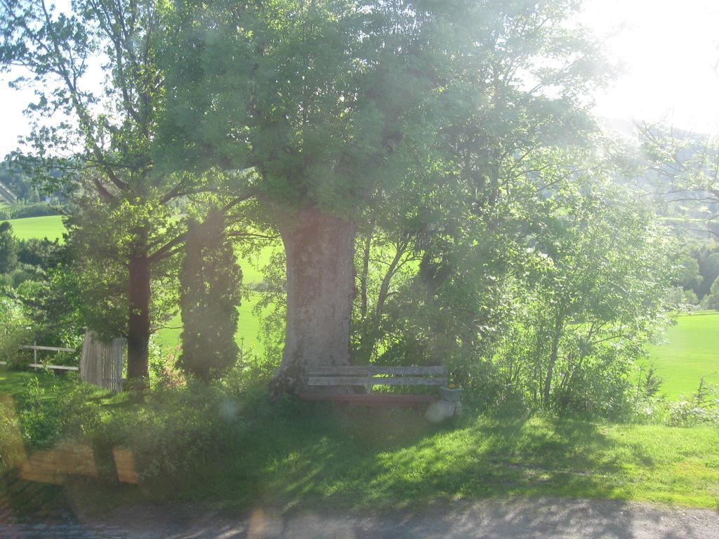 Sogn Gjestegard Svarstad  Habitación foto